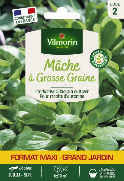 Potagères - Mâche à Grosse Graine - Grand Modèle - face recto